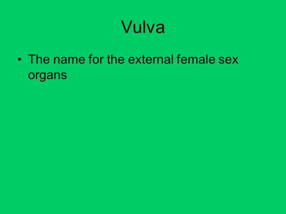Vulva The name for the external female sex organs