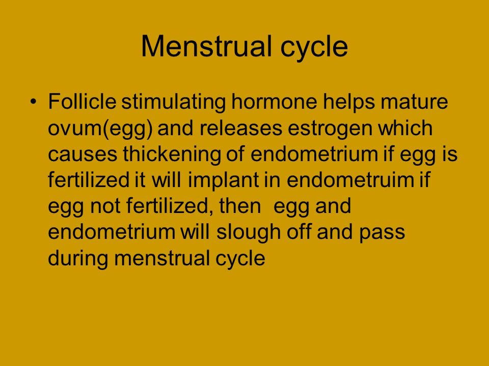 Menstrual cycle Follicle stimulating hormone helps mature ovum(egg) and releases estrogen which causes thickening of endometrium if egg is fertilized it will implant in endometruim if egg not fertilized, then egg and endometrium will slough off and pass during menstrual cycle
