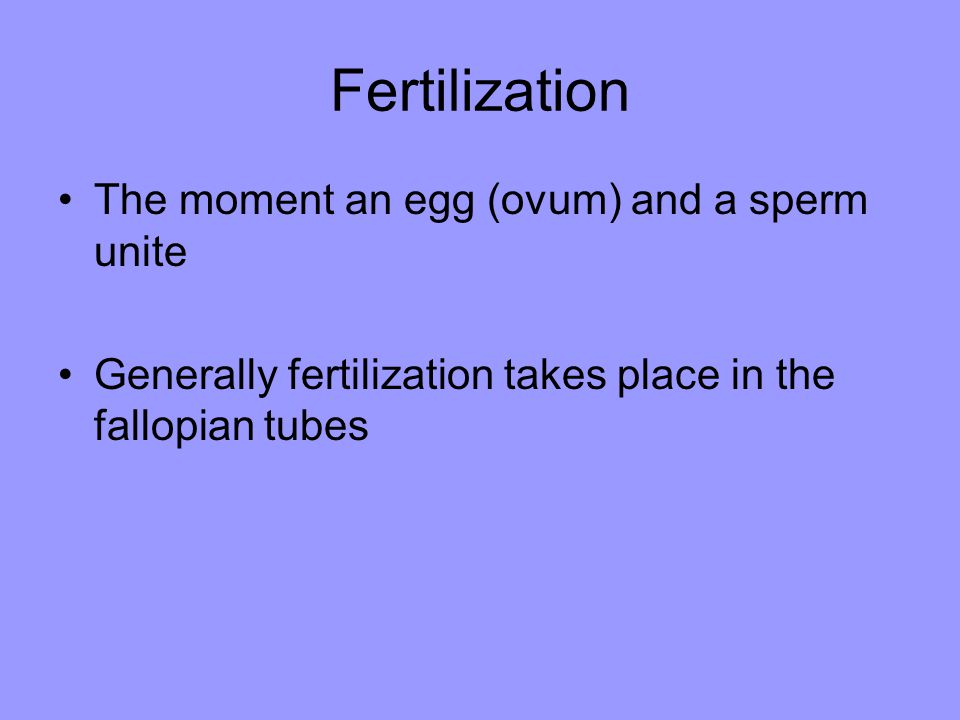 Fertilization The moment an egg (ovum) and a sperm unite Generally fertilization takes place in the fallopian tubes