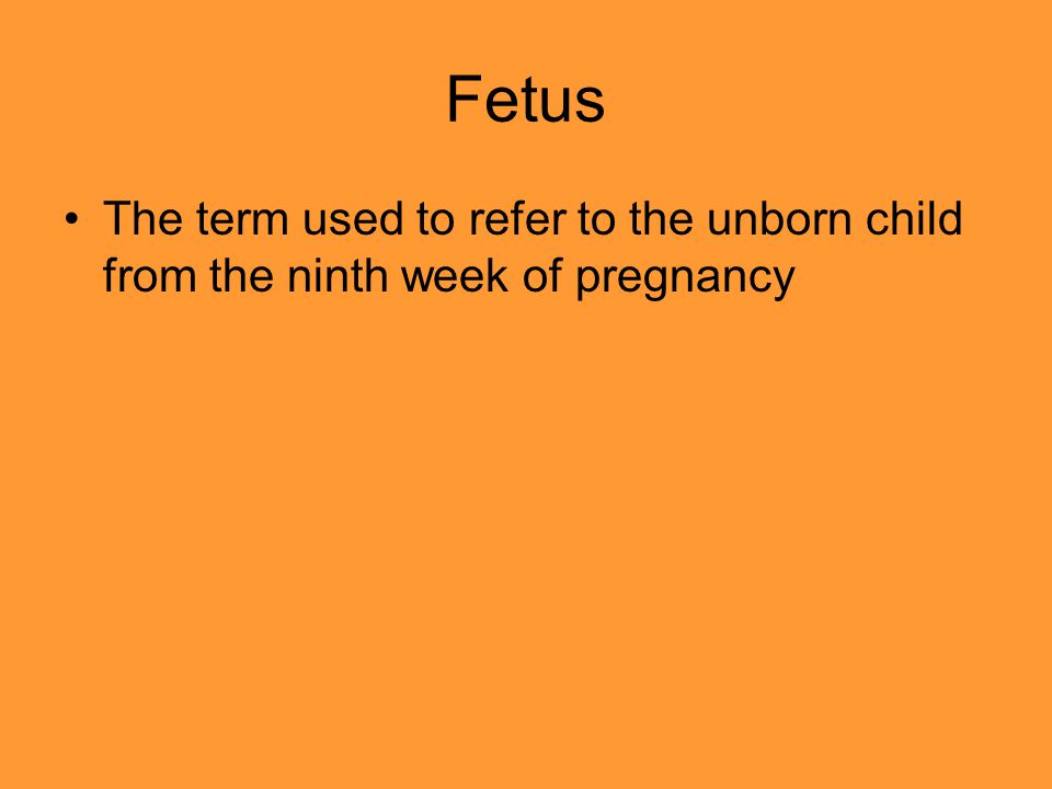 Fetus The term used to refer to the unborn child from the ninth week of pregnancy