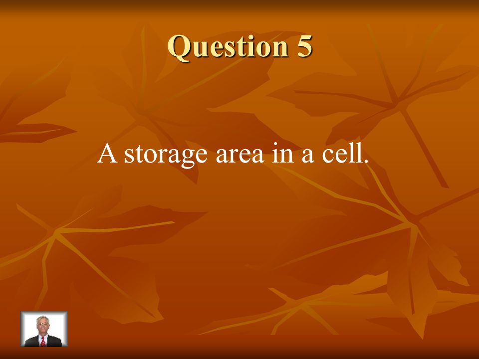 Answer 4 What is – chloroplast