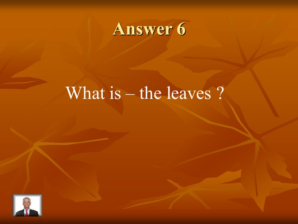 Question 6 The part of the plant where food making takes place.