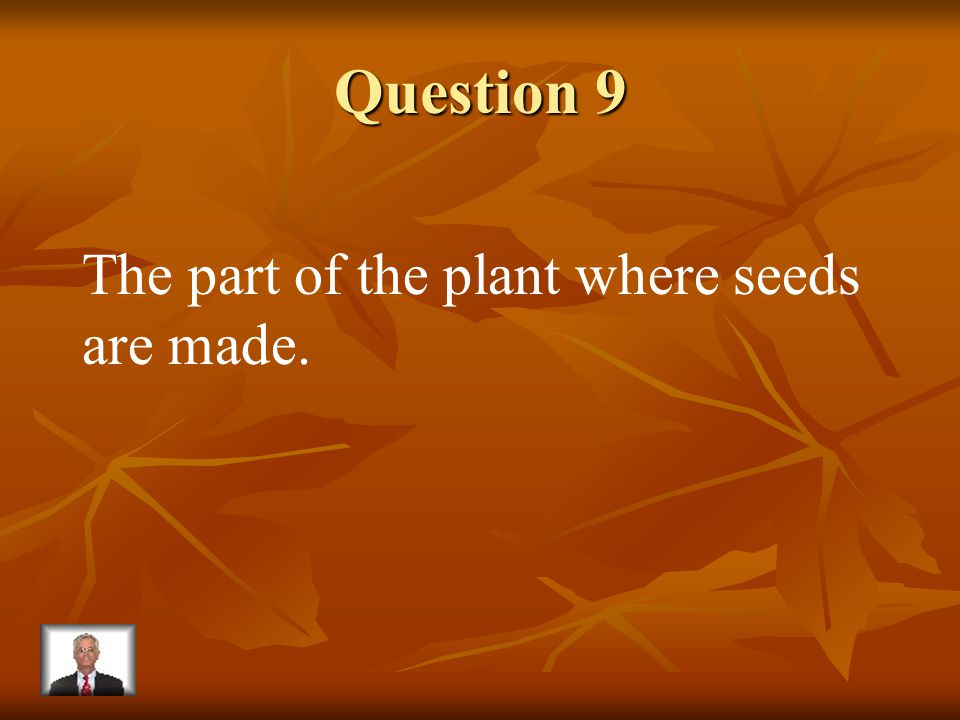 Answer 8 What is – the roots