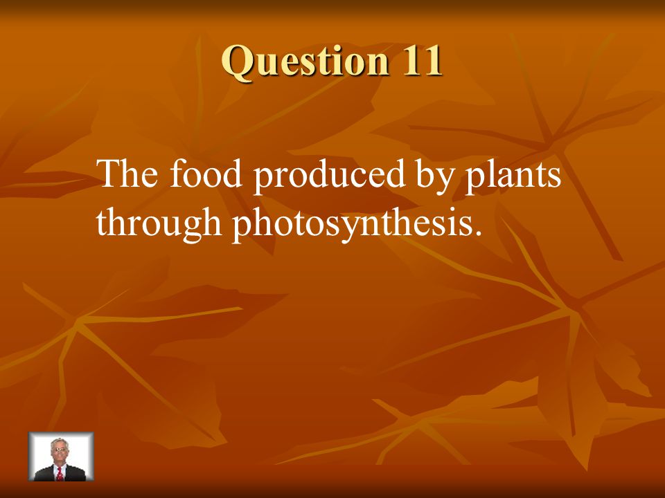Answer 10 What is – stomata