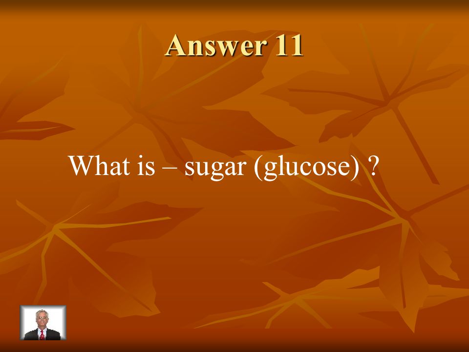 Question 11 The food produced by plants through photosynthesis.