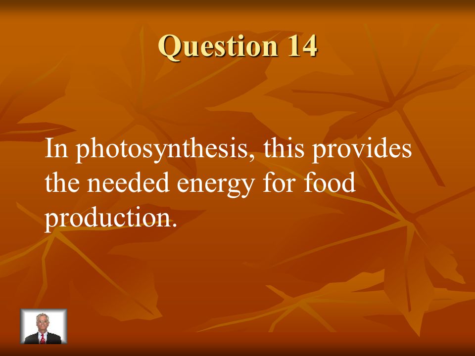 Answer 13 What is – carbon-dioxide