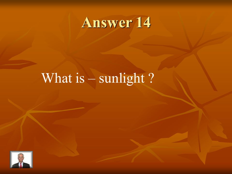 Question 14 In photosynthesis, this provides the needed energy for food production.