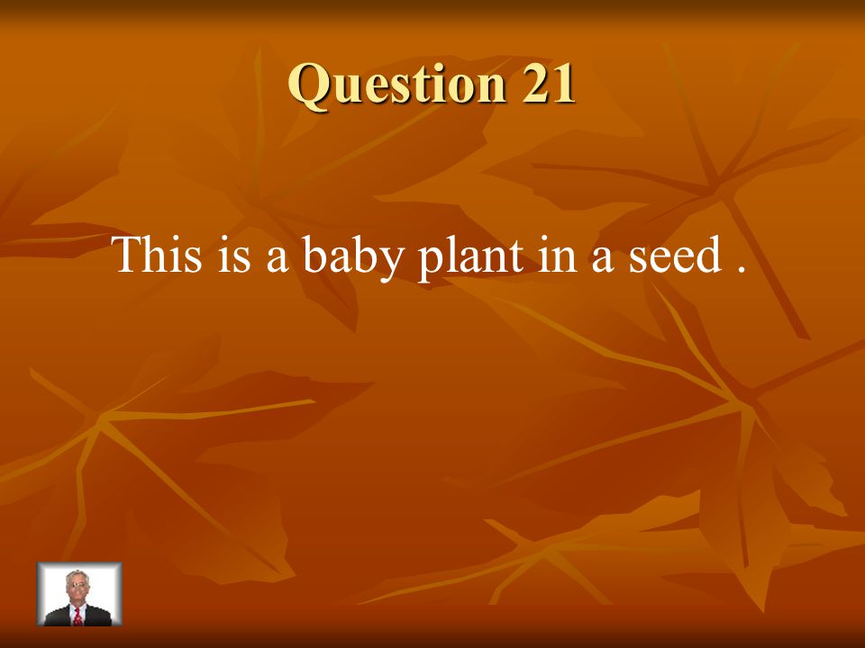 Answer 20 What is – stamen