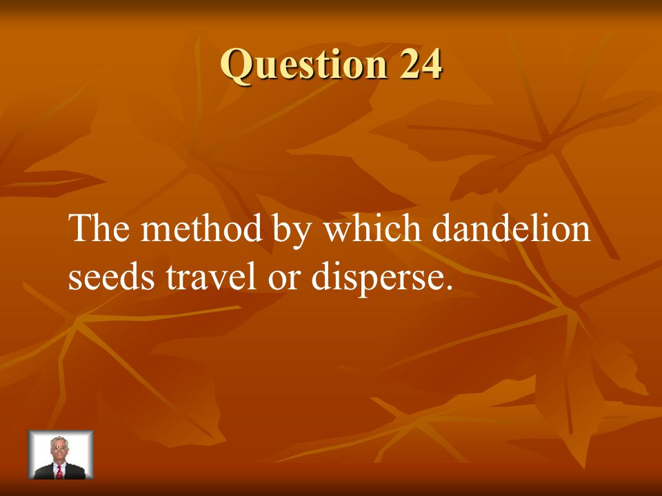 Answer 23 What is – a seed coat