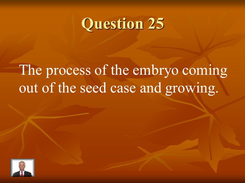 Answer 24 What is – wind