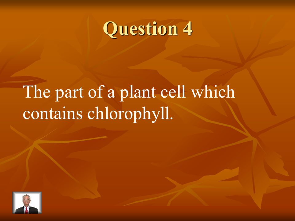 Answer 3 What is – the cell wall