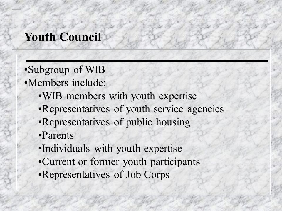 Youth Council Subgroup of WIB Members include: WIB members with youth expertise Representatives of youth service agencies Representatives of public housing Parents Individuals with youth expertise Current or former youth participants Representatives of Job Corps