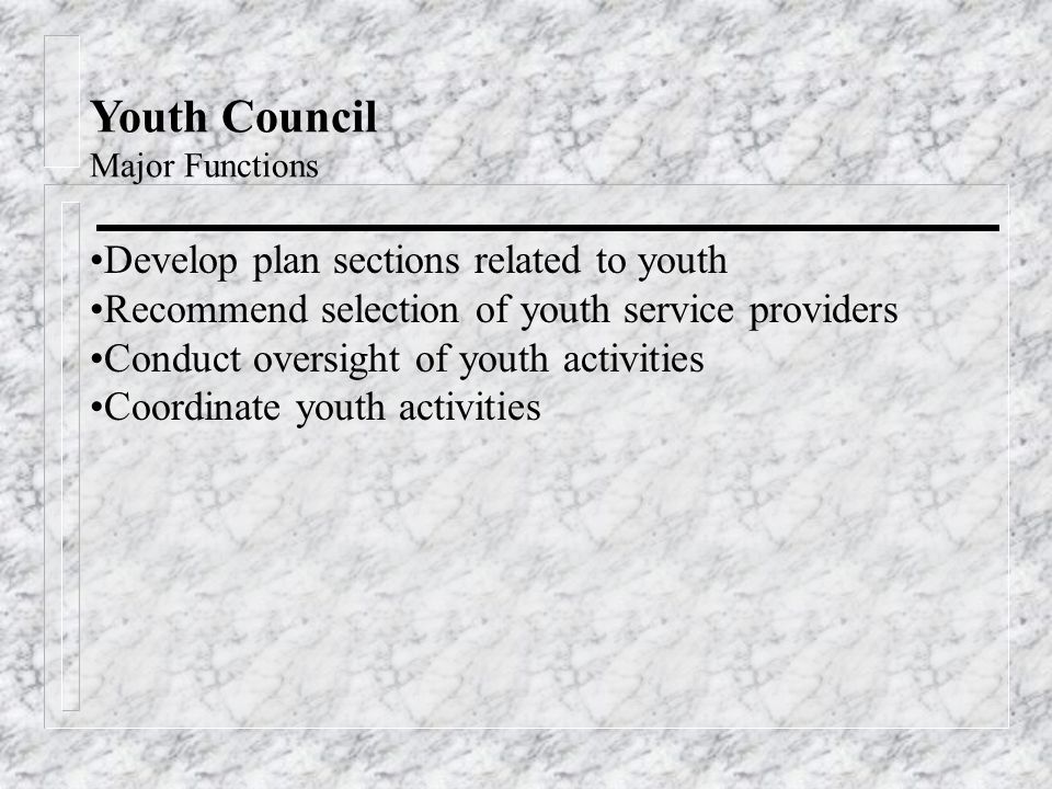 Youth Council Major Functions Develop plan sections related to youth Recommend selection of youth service providers Conduct oversight of youth activities Coordinate youth activities