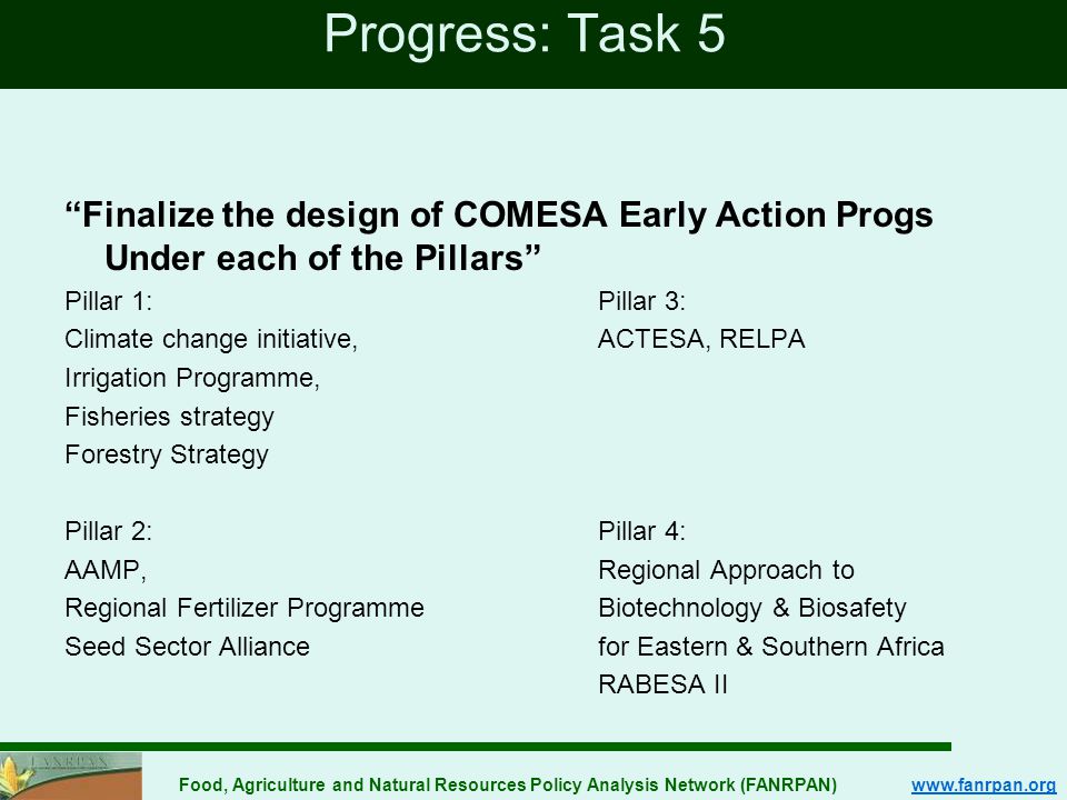 Food, Agriculture and Natural Resources Policy Analysis Network (FANRPAN)   Progress: Task 5 Finalize the design of COMESA Early Action Progs Under each of the Pillars Pillar 1:Pillar 3: Climate change initiative,ACTESA, RELPA Irrigation Programme, Fisheries strategy Forestry Strategy Pillar 2:Pillar 4: AAMP,Regional Approach to Regional Fertilizer ProgrammeBiotechnology & Biosafety Seed Sector Alliancefor Eastern & Southern Africa RABESA II