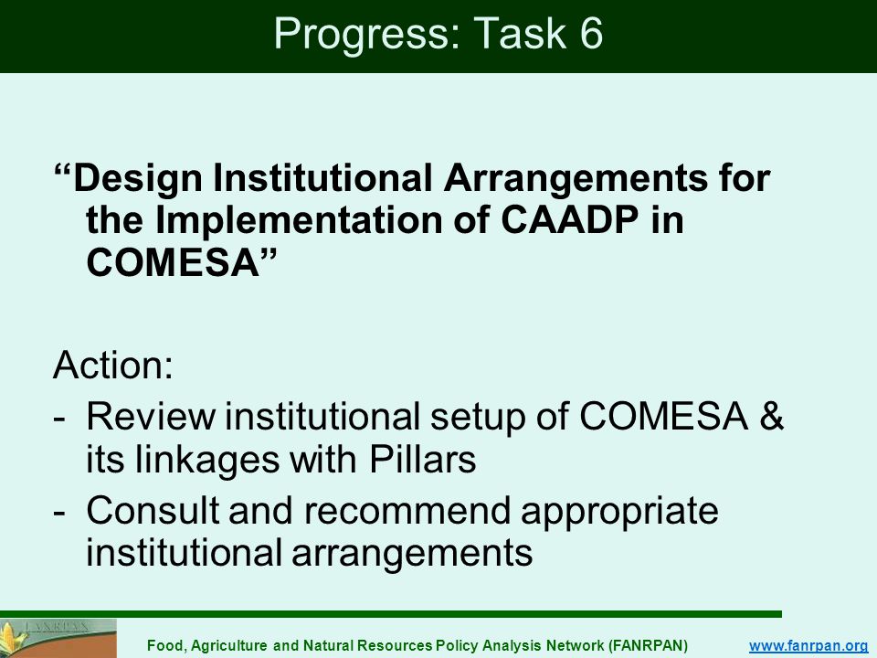 Food, Agriculture and Natural Resources Policy Analysis Network (FANRPAN)   Progress: Task 6 Design Institutional Arrangements for the Implementation of CAADP in COMESA Action: -Review institutional setup of COMESA & its linkages with Pillars -Consult and recommend appropriate institutional arrangements