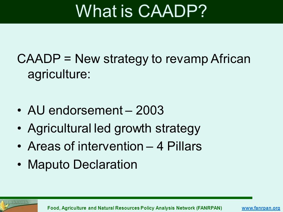 Food, Agriculture and Natural Resources Policy Analysis Network (FANRPAN)   What is CAADP.