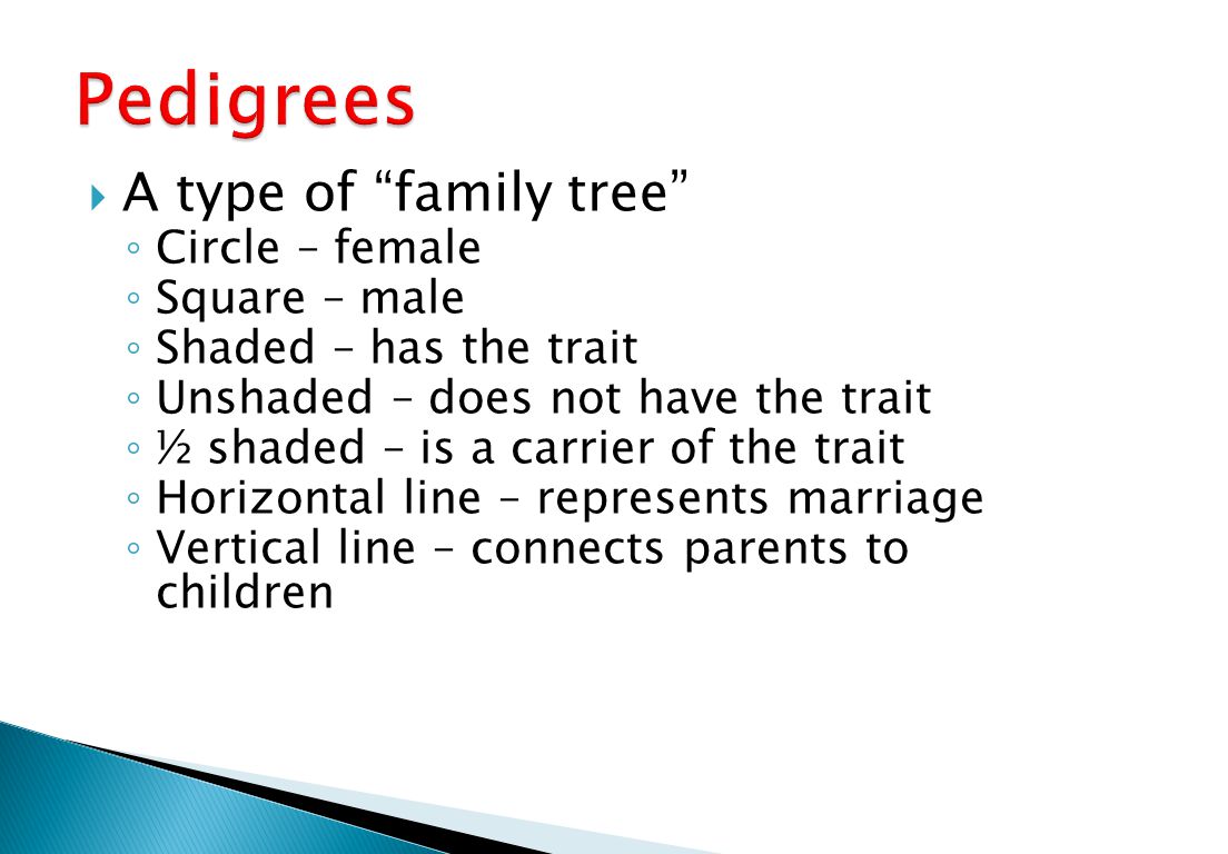  A type of family tree ◦ Circle – female ◦ Square – male ◦ Shaded – has the trait ◦ Unshaded – does not have the trait ◦ ½ shaded – is a carrier of the trait ◦ Horizontal line – represents marriage ◦ Vertical line – connects parents to children