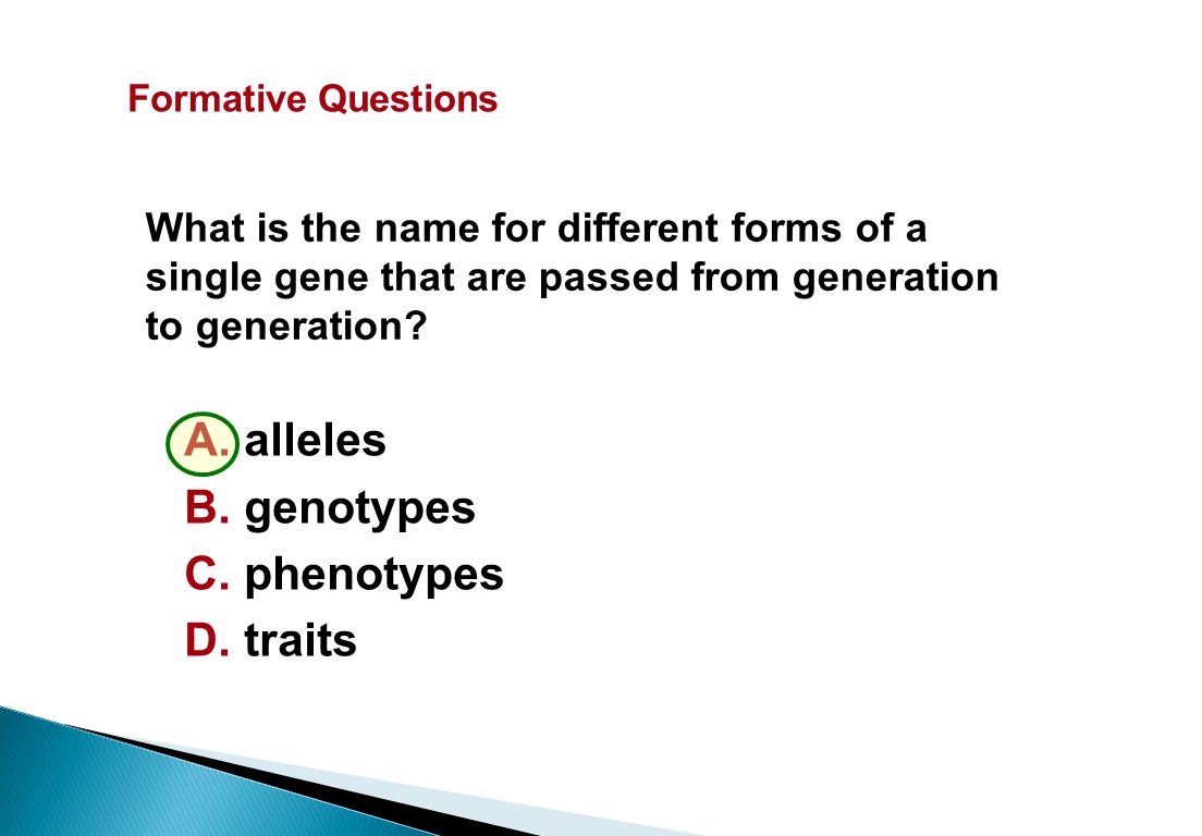 What is the name for different forms of a single gene that are passed from generation to generation.