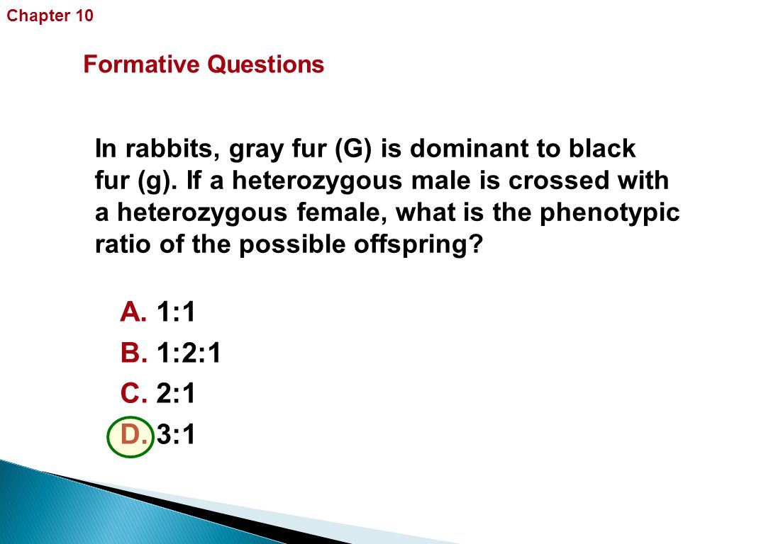 In rabbits, gray fur (G) is dominant to black fur (g).