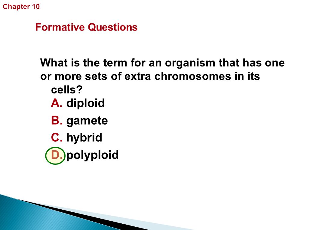 What is the term for an organism that has one or more sets of extra chromosomes in its cells.