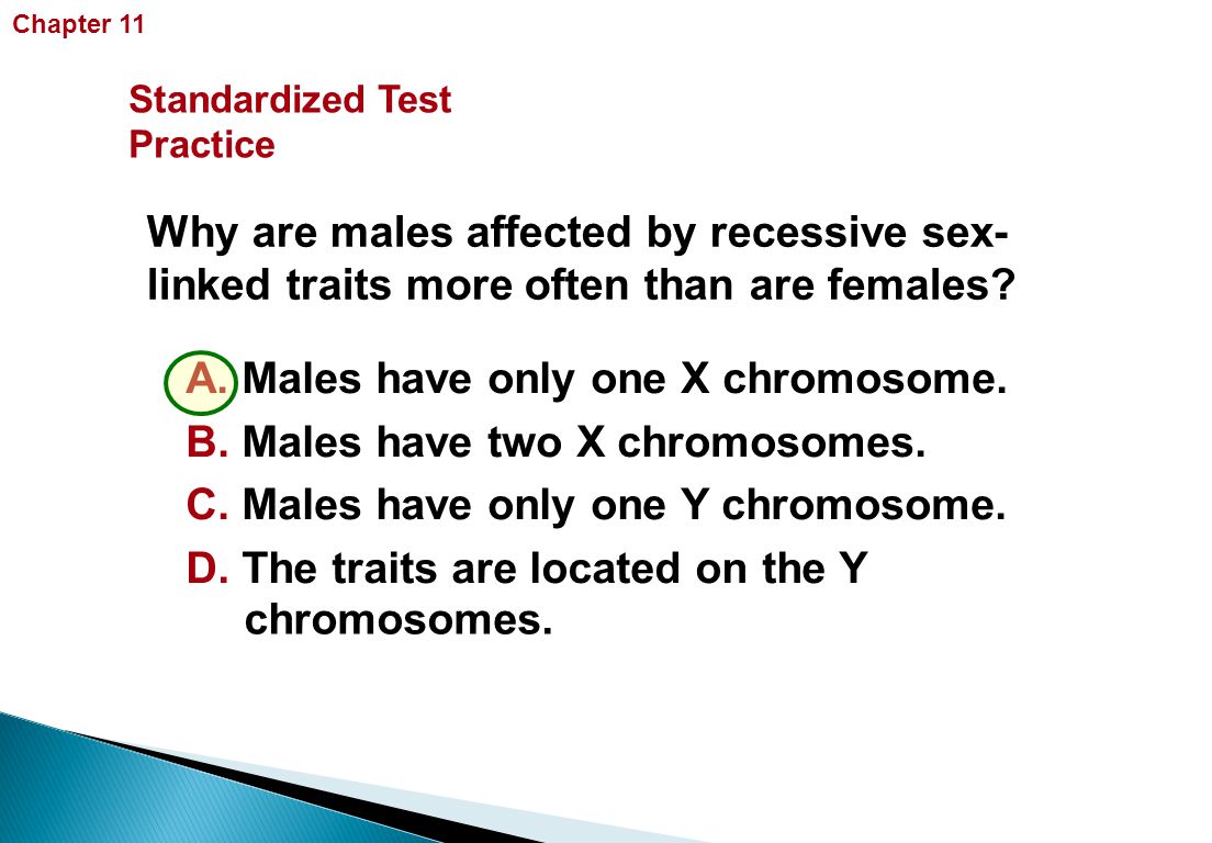 A. Males have only one X chromosome. B. Males have two X chromosomes.