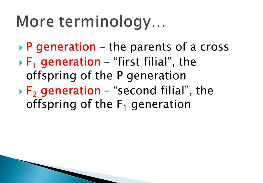  P generation – the parents of a cross  F 1 generation – first filial , the offspring of the P generation  F 2 generation – second filial , the offspring of the F 1 generation