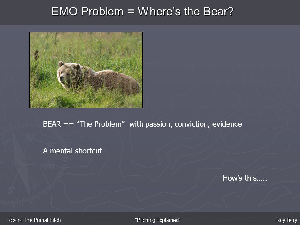 EMO Problem = Where’s the Bear.