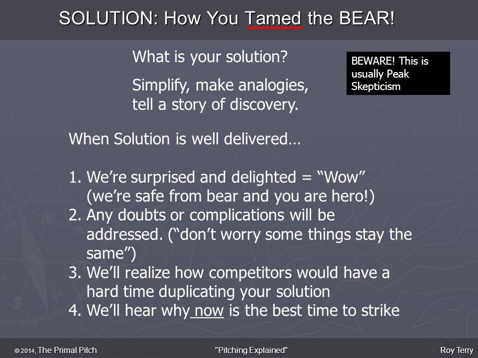 SOLUTION: How You Tamed the BEAR.