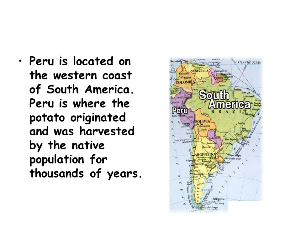Peru is located on the western coast of South America.