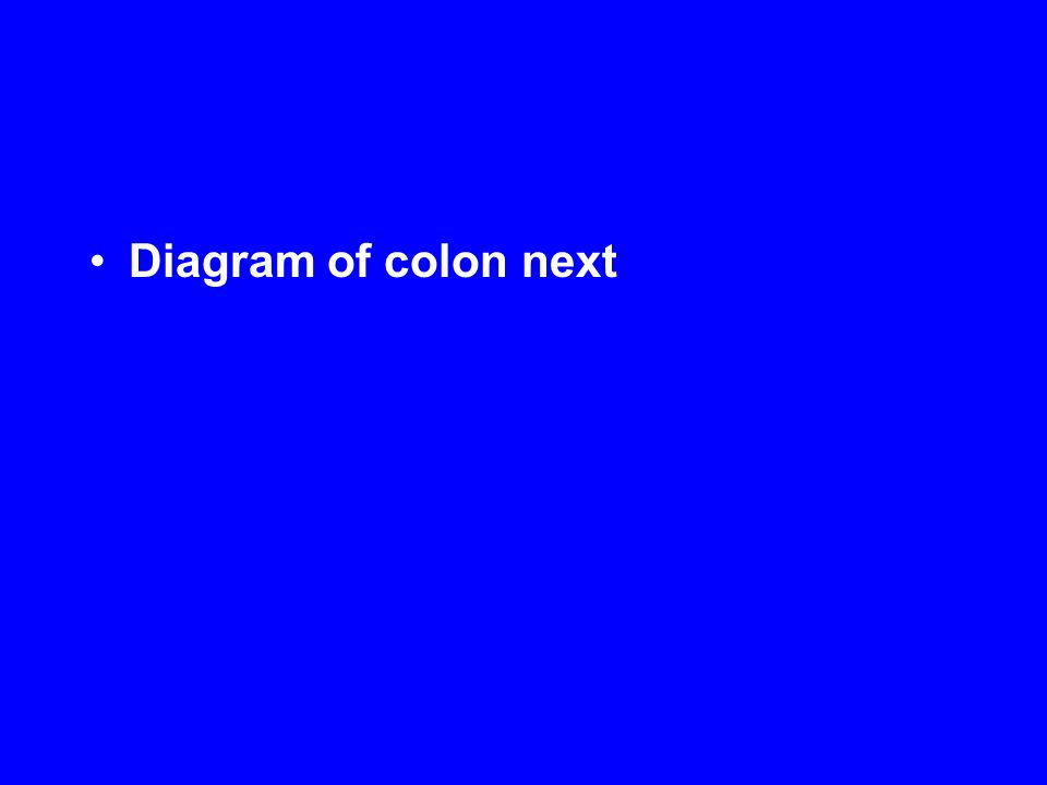 Diagram of colon next