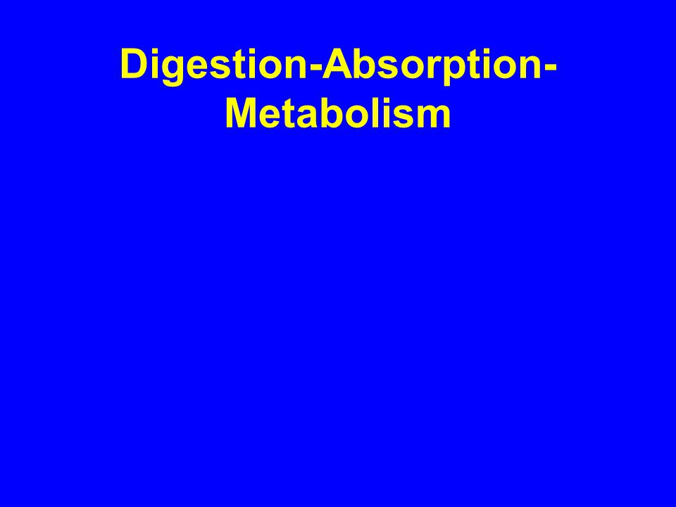 Digestion-Absorption- Metabolism