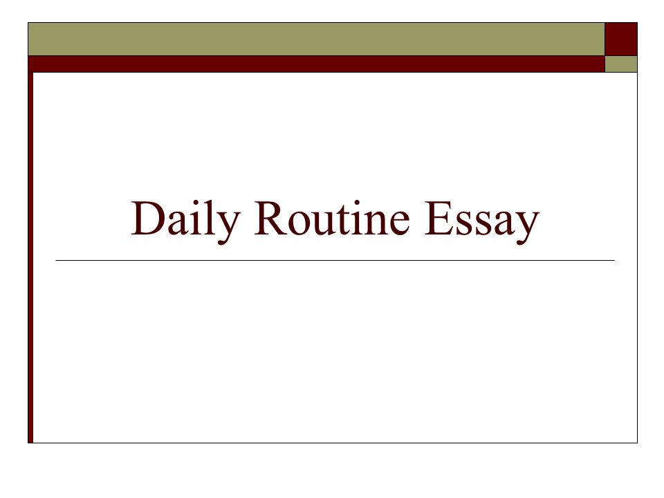 Daily Routine Essay Mission You Will Write An Essay That Daily Routine Essay Healthy Mind In A Healthy Body Essay also Theme For English B Essay Sample Argumentative Essay High School