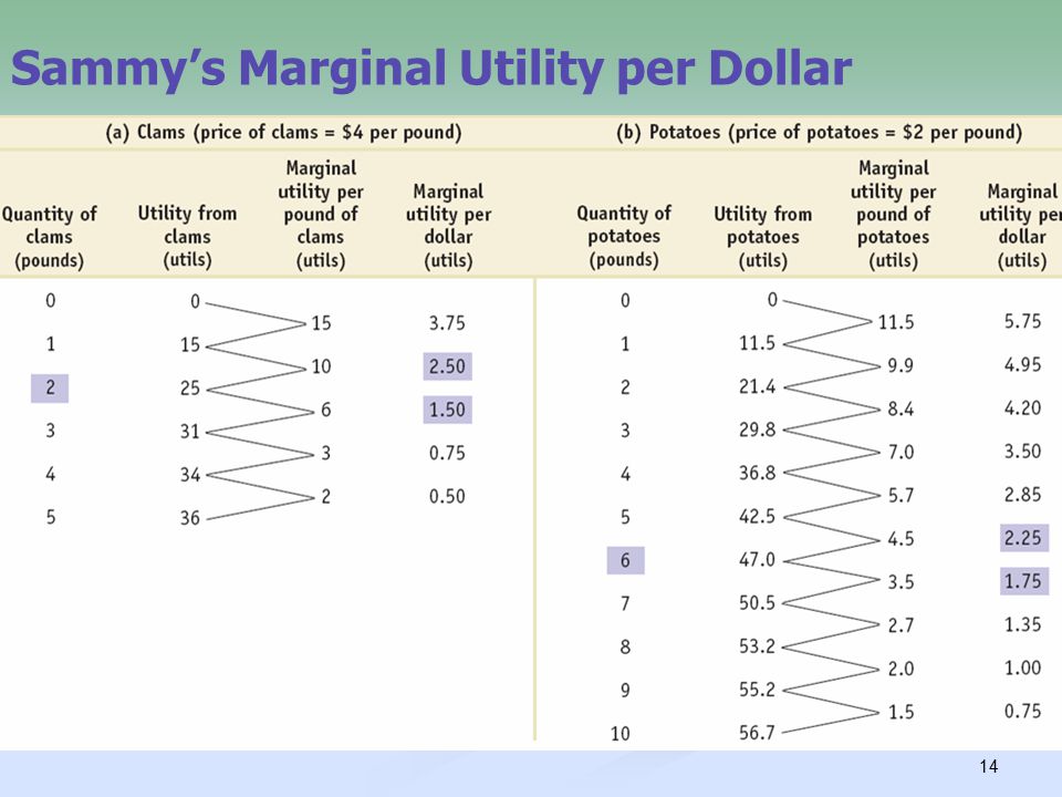 14 Sammy’s Marginal Utility per Dollar