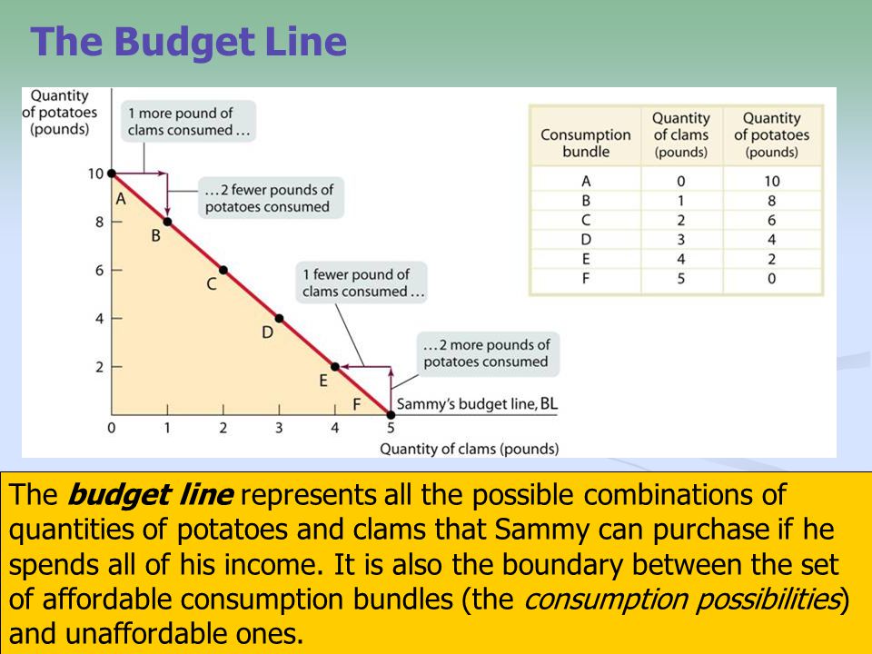 7 The budget line represents all the possible combinations of quantities of potatoes and clams that Sammy can purchase if he spends all of his income.