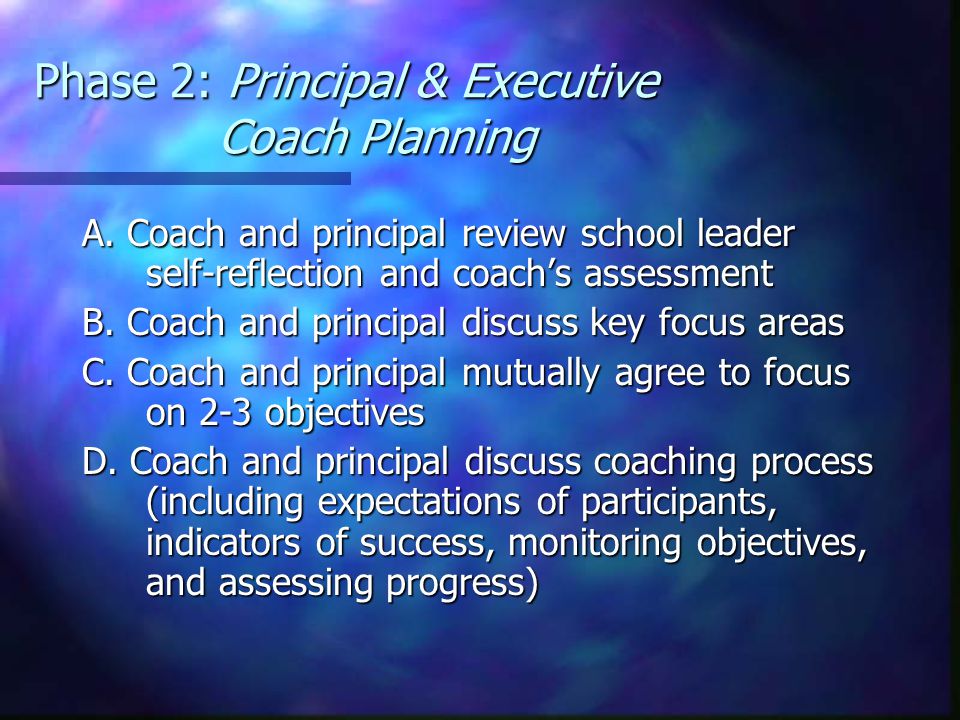 Phase 2: Principal & Executive Coach Planning A.