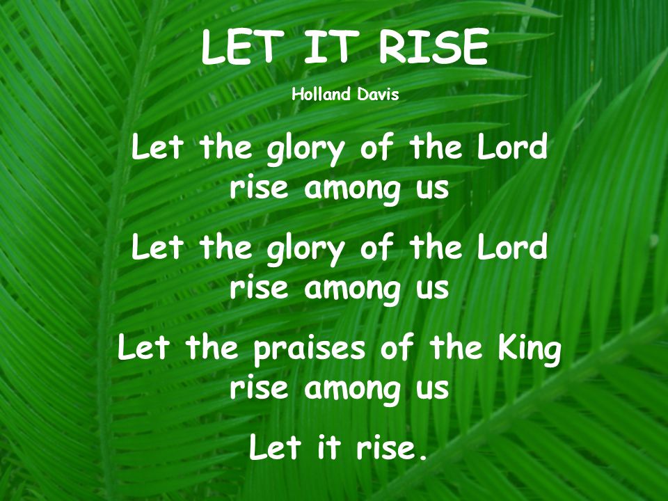 Let the glory of the Lord rise among us Let the praises of the King rise among us Let it rise.