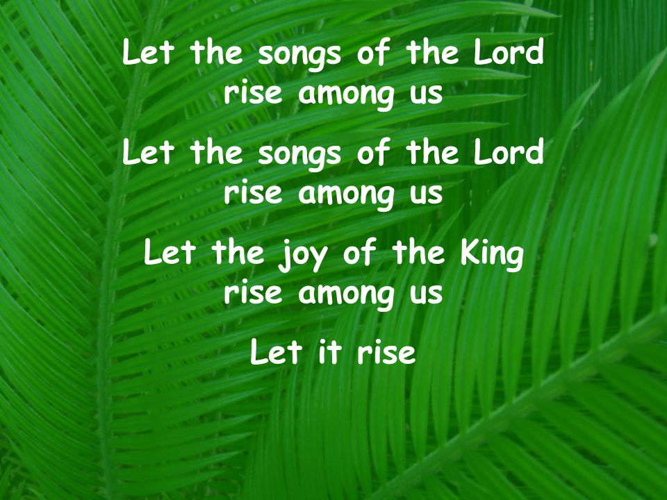 Let the songs of the Lord rise among us Let the joy of the King rise among us Let it rise