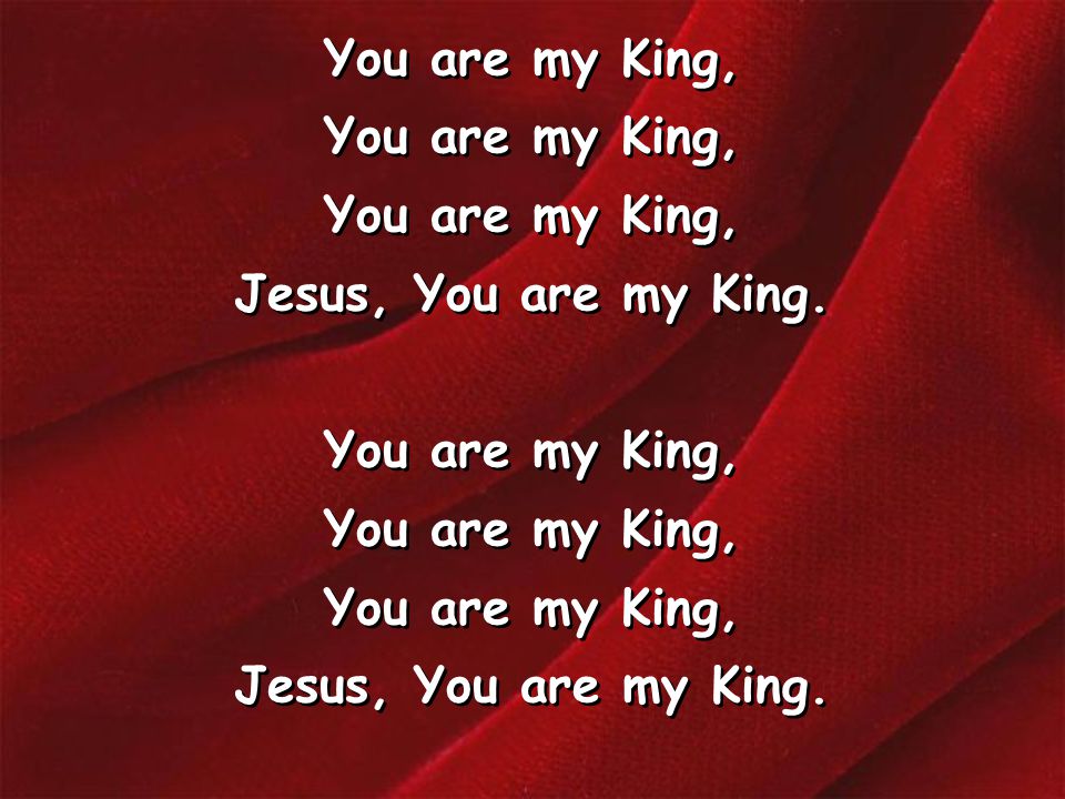 You are my King, Jesus, You are my King. You are my King, Jesus, You are my King.