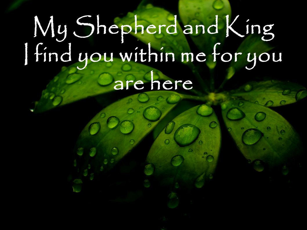 My Shepherd and King I find you within me for you are here
