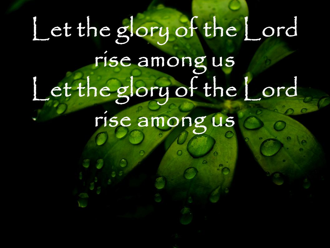 Let the glory of the Lord rise among us Let the glory of the Lord rise among us