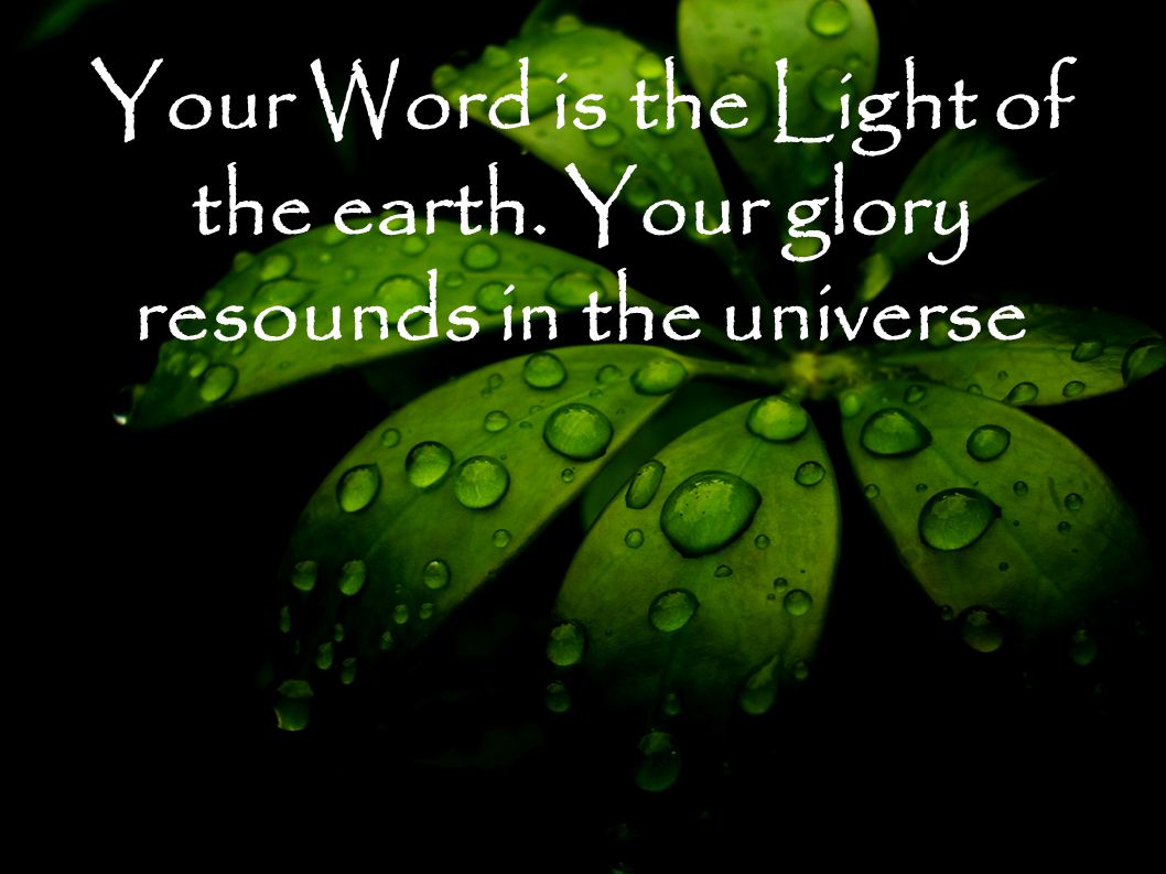Your Word is the Light of the earth. Your glory resounds in the universe