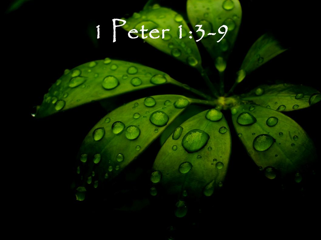 1 Peter 1:3-9