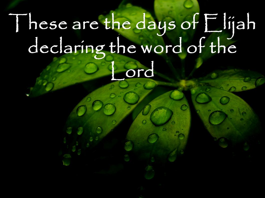 These are the days of Elijah declaring the word of the Lord