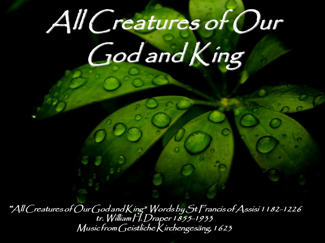 All Creatures of Our God and King All Creatures of Our God and King Words by St Francis of Assisi tr.