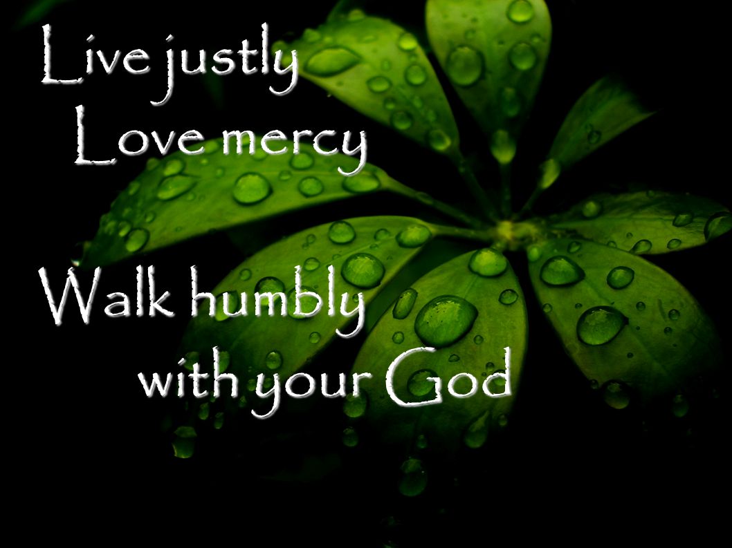 Live justly Love mercy Walk humbly with your God