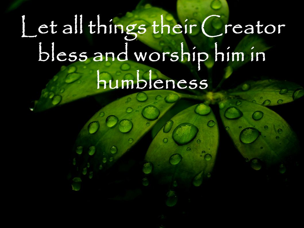 Let all things their Creator bless and worship him in humbleness