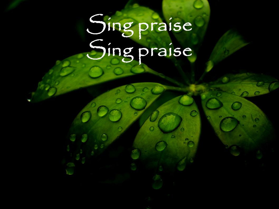 Sing praise
