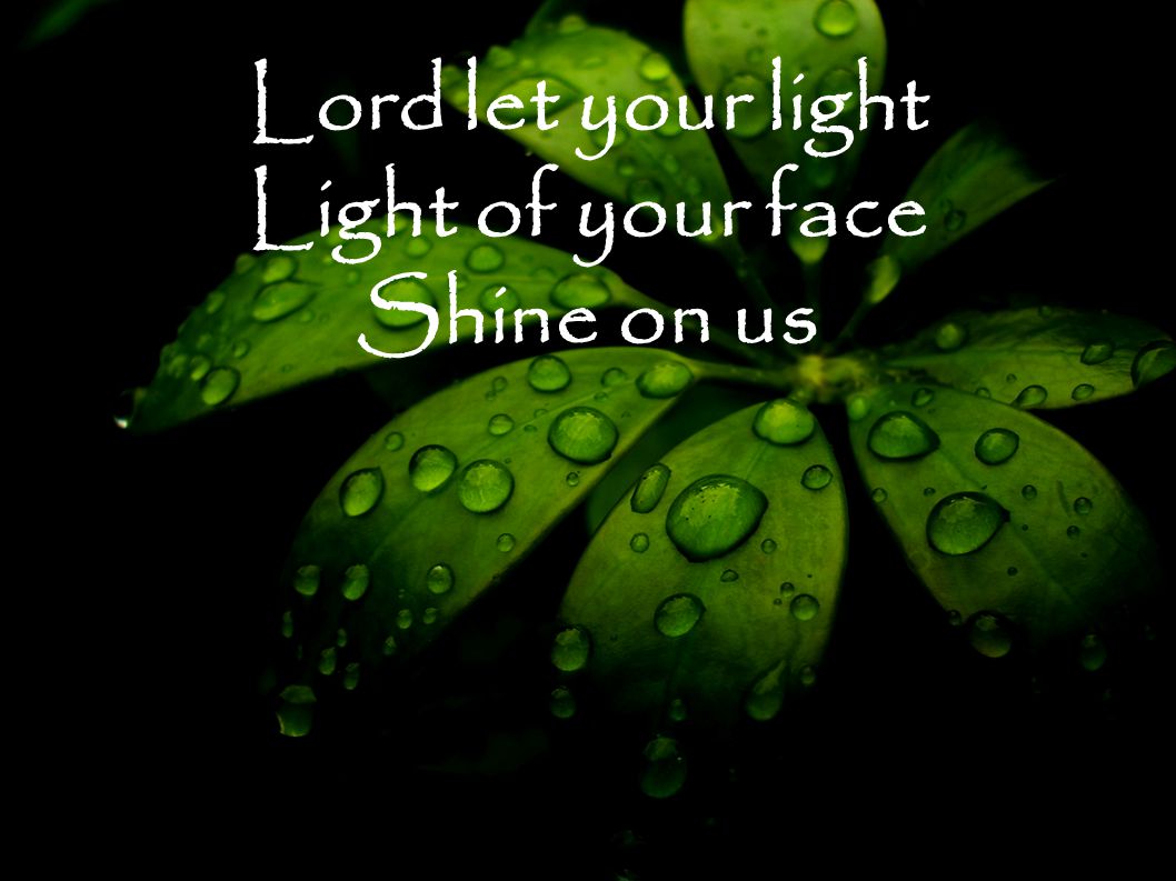 Lord let your light Light of your face Shine on us