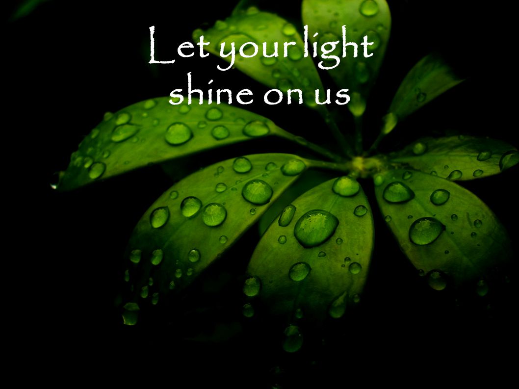 Let your light shine on us