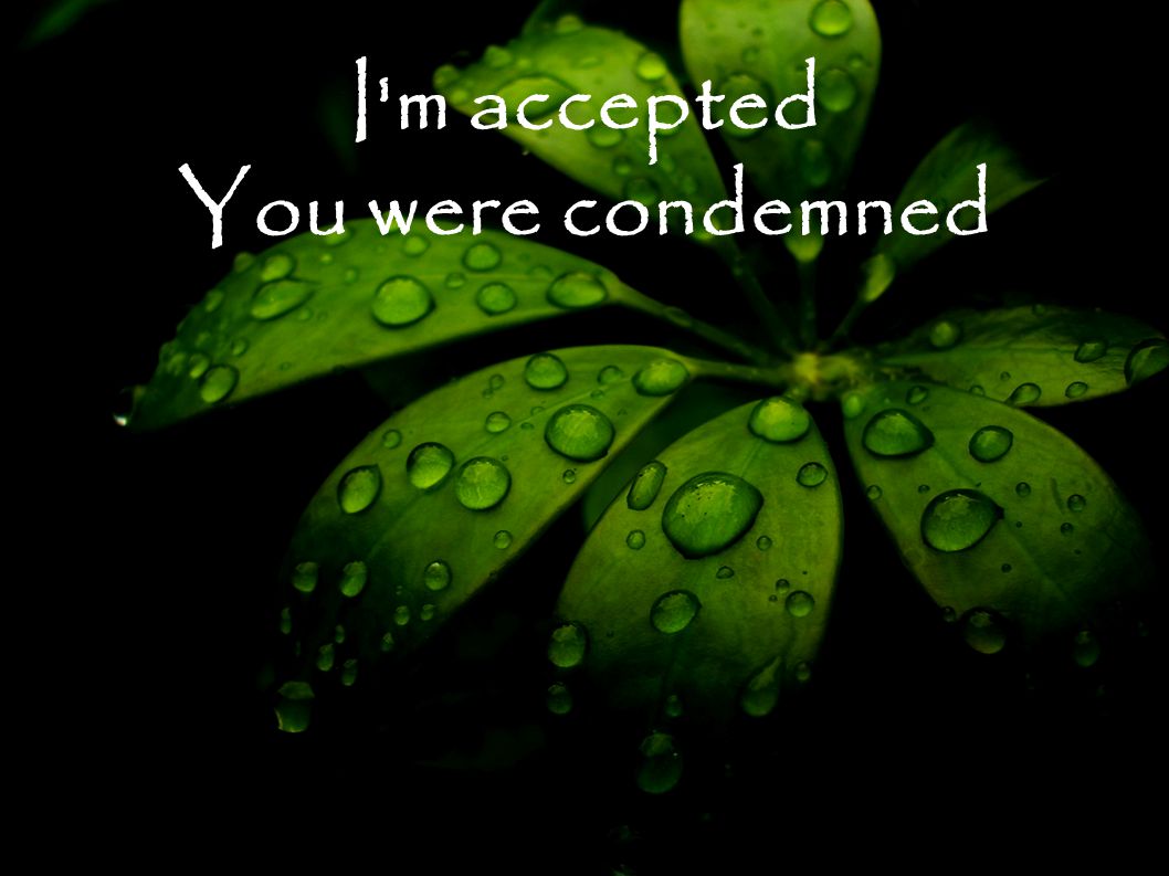 I m accepted You were condemned